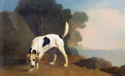Foxhound on the Scent, c.1760